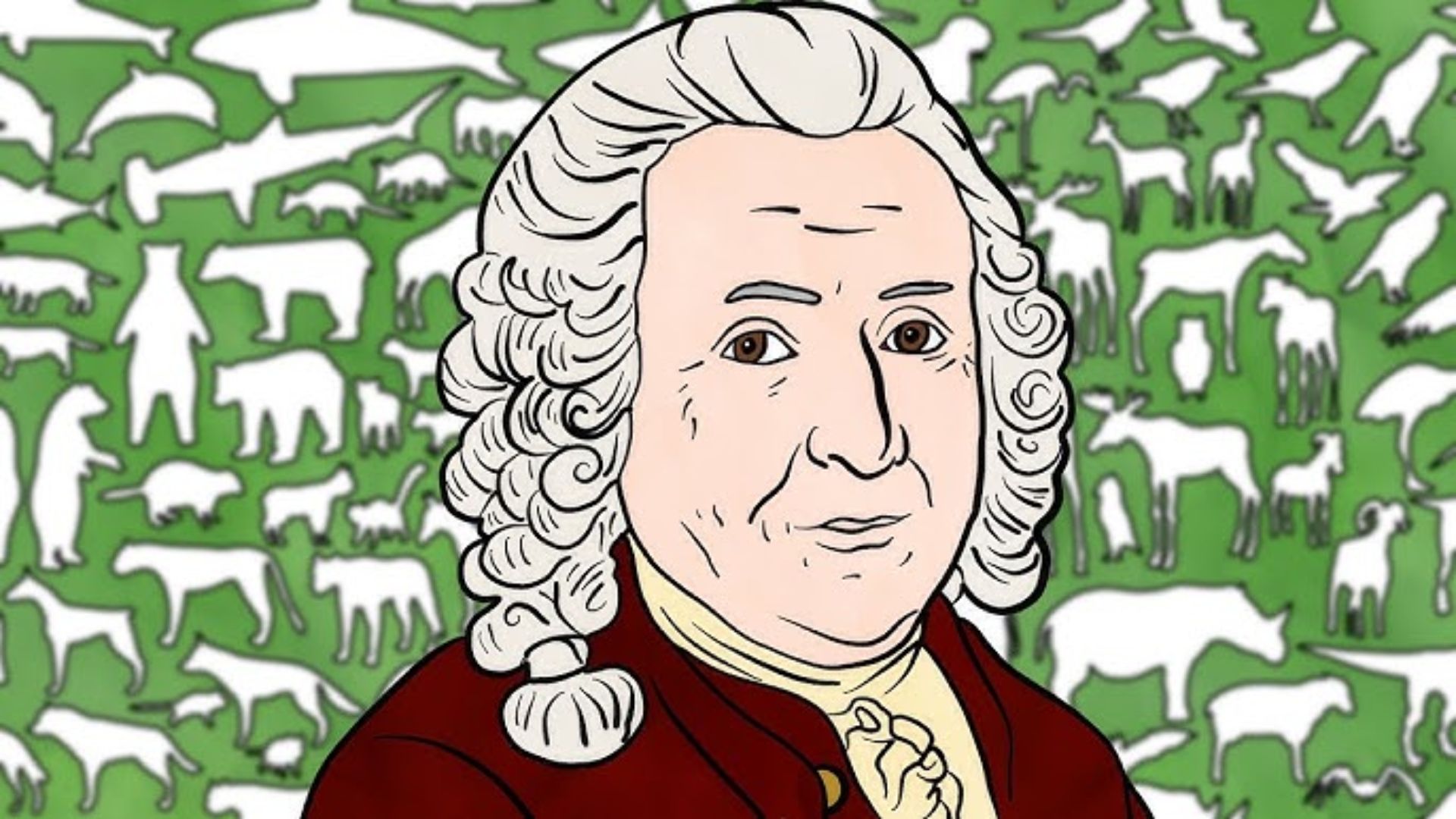 Carl Linnaeus: Bapak Taksonomi Modern