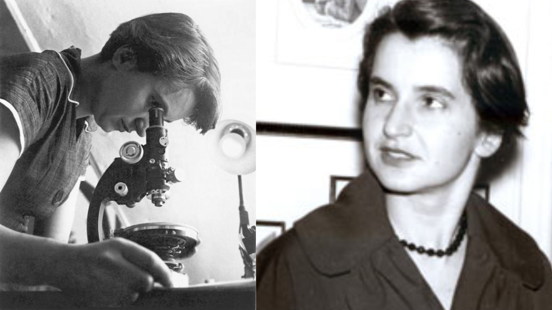 Rosalind Franklin: Ilmuwan Berpengaruh Dalam Bidang Sains