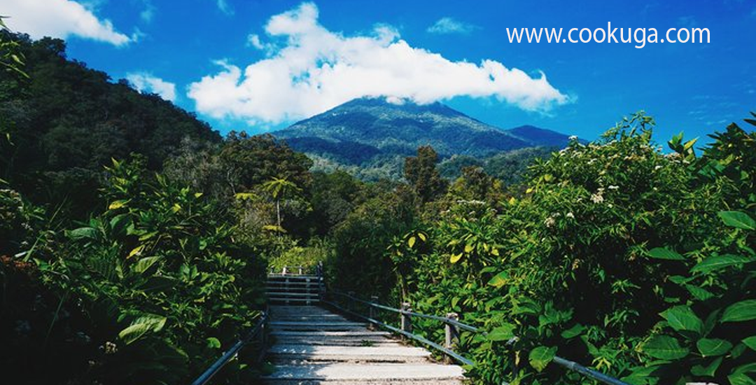 Taman Nasional Gunung Gede