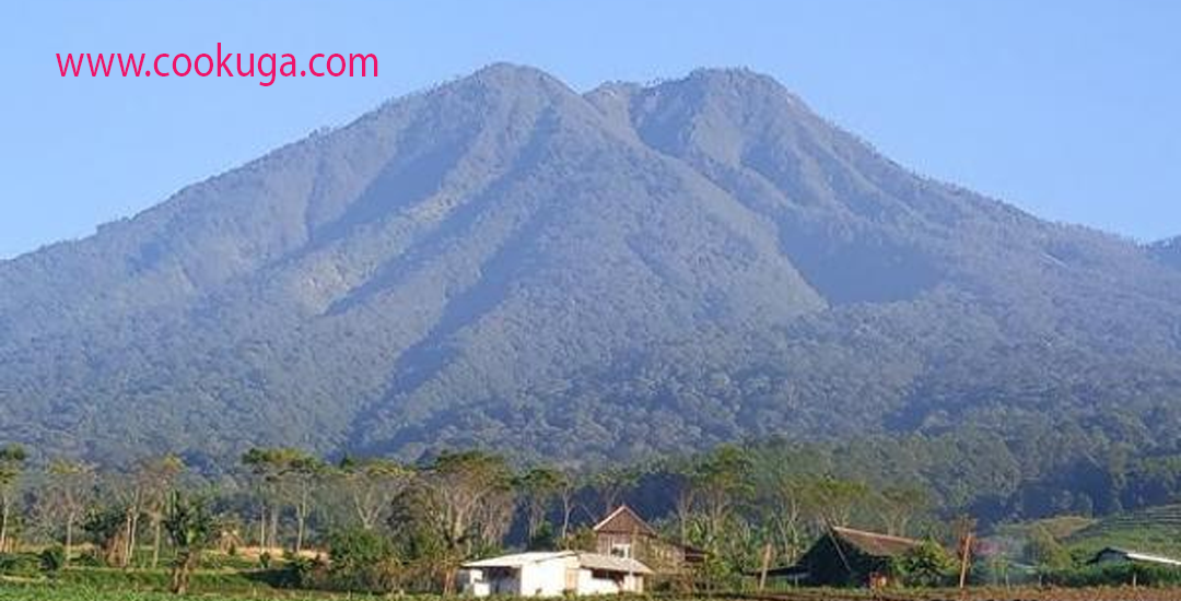 Lereng-Lereng Gunung Wilis